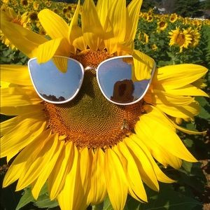 Meet your Posher, Ericka